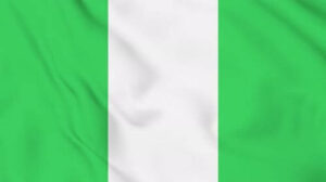 Logo de EXPORTACIÓN A NIGERIA